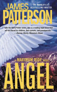 Maximum Ride Series for Teens